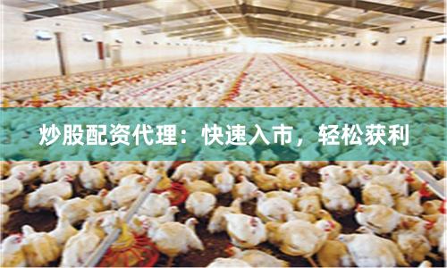 炒股配资代理:快速入市,轻松获利