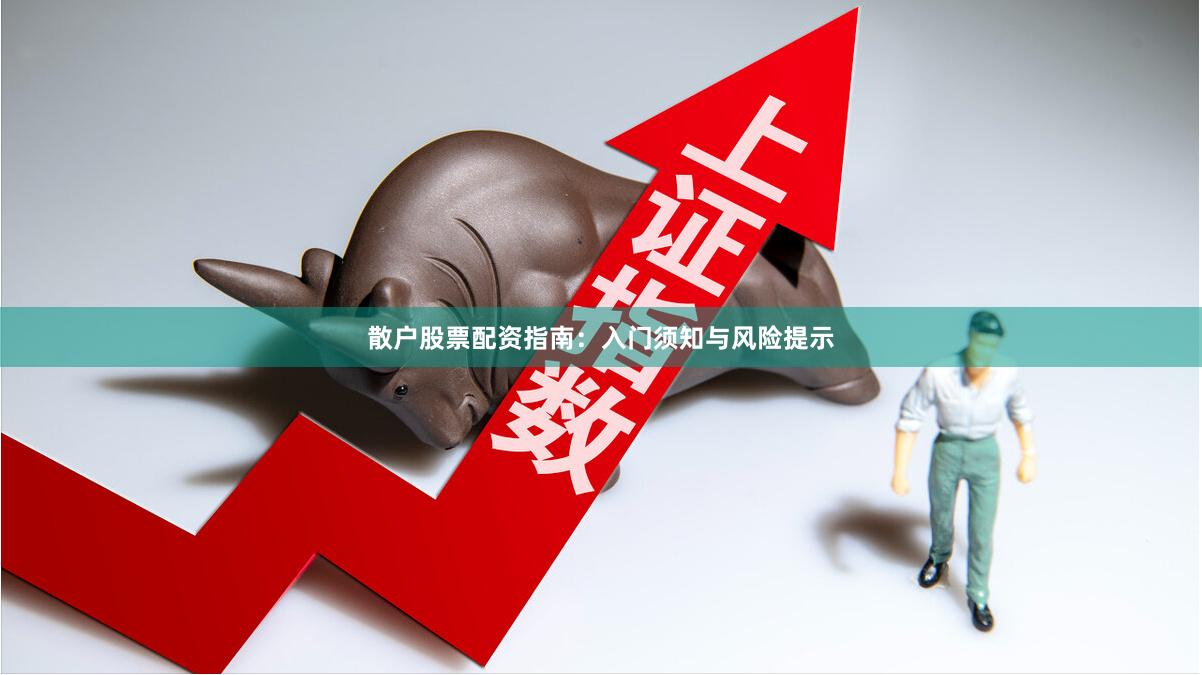 散户股票配资指南：入门须知与风险提示