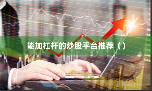 能加杠杆的炒股平台推荐（）